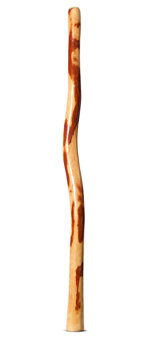 Gloss Finish Bloodwood Didgeridoo (TW1523)